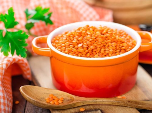 mercimek yetistiriciligi